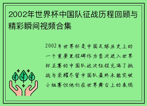 2002年世界杯中国队征战历程回顾与精彩瞬间视频合集